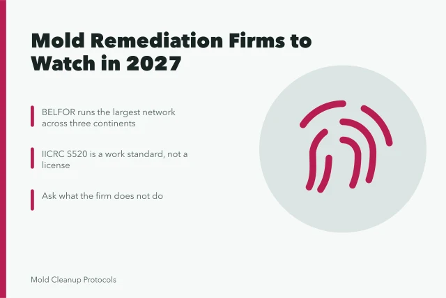 Card listing mold remediation firms, certifications, and verification checks for 2027. Notable mold remediation companies worldwide for 2027