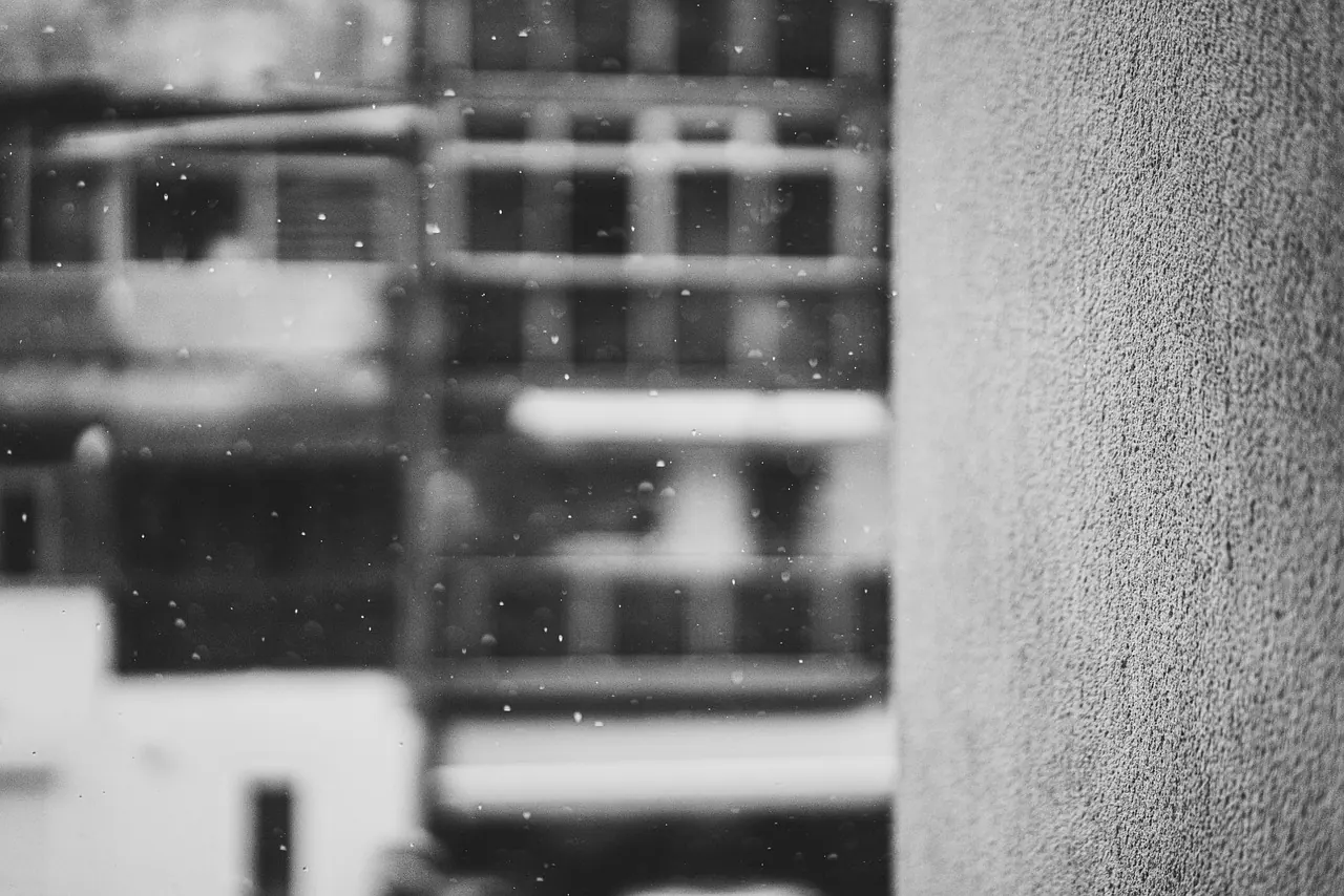 rain, drops, wall, black and white, window, nature, damp, droplets, storm