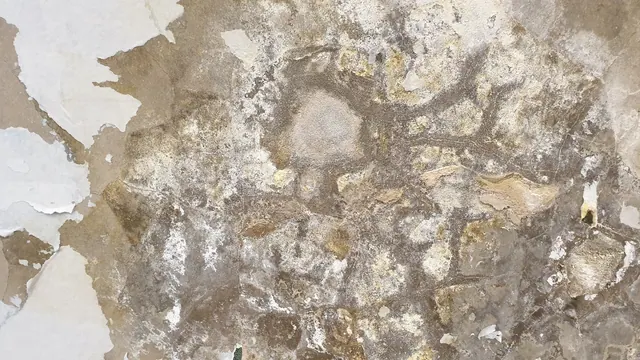 a close up of a wall with peeling paint This high-resolution texture captures the essence of a weathered, moisture-kissed concrete surface. Every crack and subtle water stain is me. How to think about mold remediation complaint handling