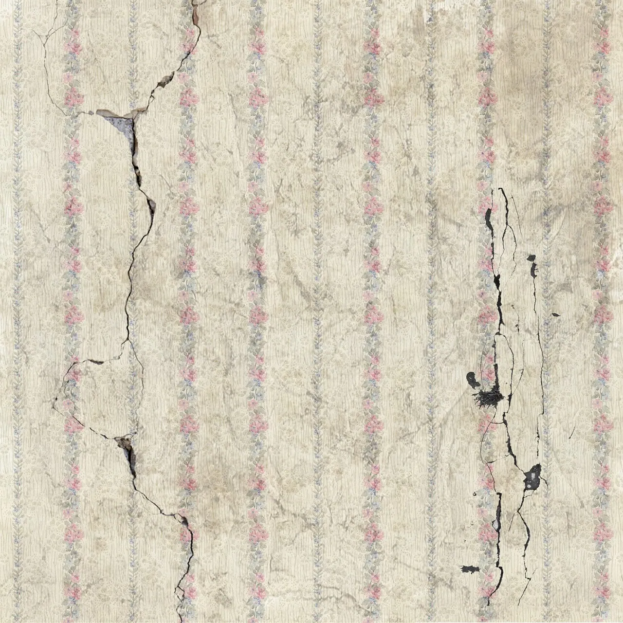antique, broken, building, construction, damage, damaged, earthquake, facade, leak, mistake, mold, old, old house, pattern, real estate, repair, texture, vintage, wall, wallpaper, 
