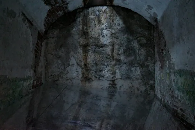 Grungy, damp, arched wall in a dark, abandoned building. Mold remediation KPIs owners should track monthly