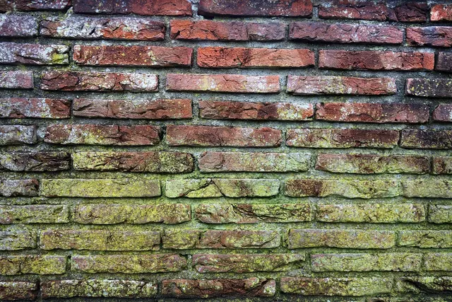 brick wall, mold, free background, moldy brick wall, red brick wall, mac wallpaper, cool backgrounds, laptop wallpaper, 4k wallpaper 1920x1080, desktop backgrounds, masonry, 4k wal