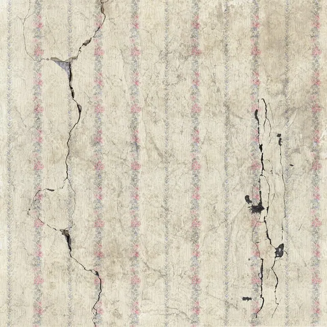 antique, broken, building, construction, damage, damaged, earthquake, facade, leak, mistake, mold, old, old house, pattern, real estate, repair, texture, vintage, wall, wallpaper, 
